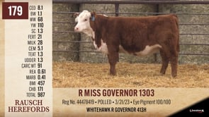 Lot #179 - R MISS GOVERNOR 1303