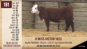Lot #181 - R MISS VICTOR 1653