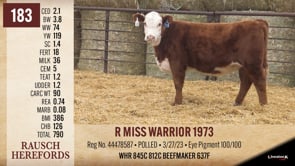 Lot #183 - R MISS WARRIOR 1973