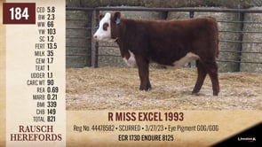 Lot #184 - R MISS EXCEL 1993