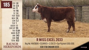 Lot #185 - R MISS EXCEL 2033