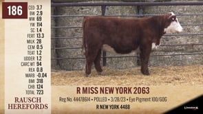 Lot #186 - R MISS NEW YORK 2063