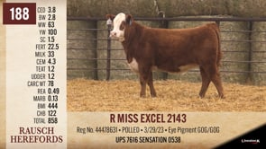 Lot #188 - R MISS EXCEL 2143
