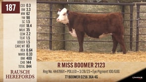 Lot #187 - R MISS BOOMER 2123