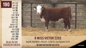 Lot #190 - R MISS VICTOR 2203