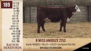 Lot #189 - R MISS ANODIZE 2153