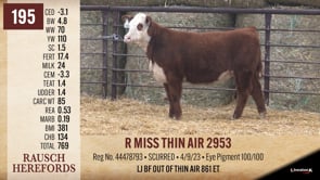 Lot #195 - R MISS THIN AIR 2953