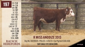 Lot #197 - R MISS ANODIZE 3513