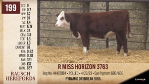 Lot #199 - R MISS HORIZON 3763