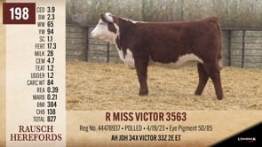 Lot #198 - R MISS VICTOR 3563