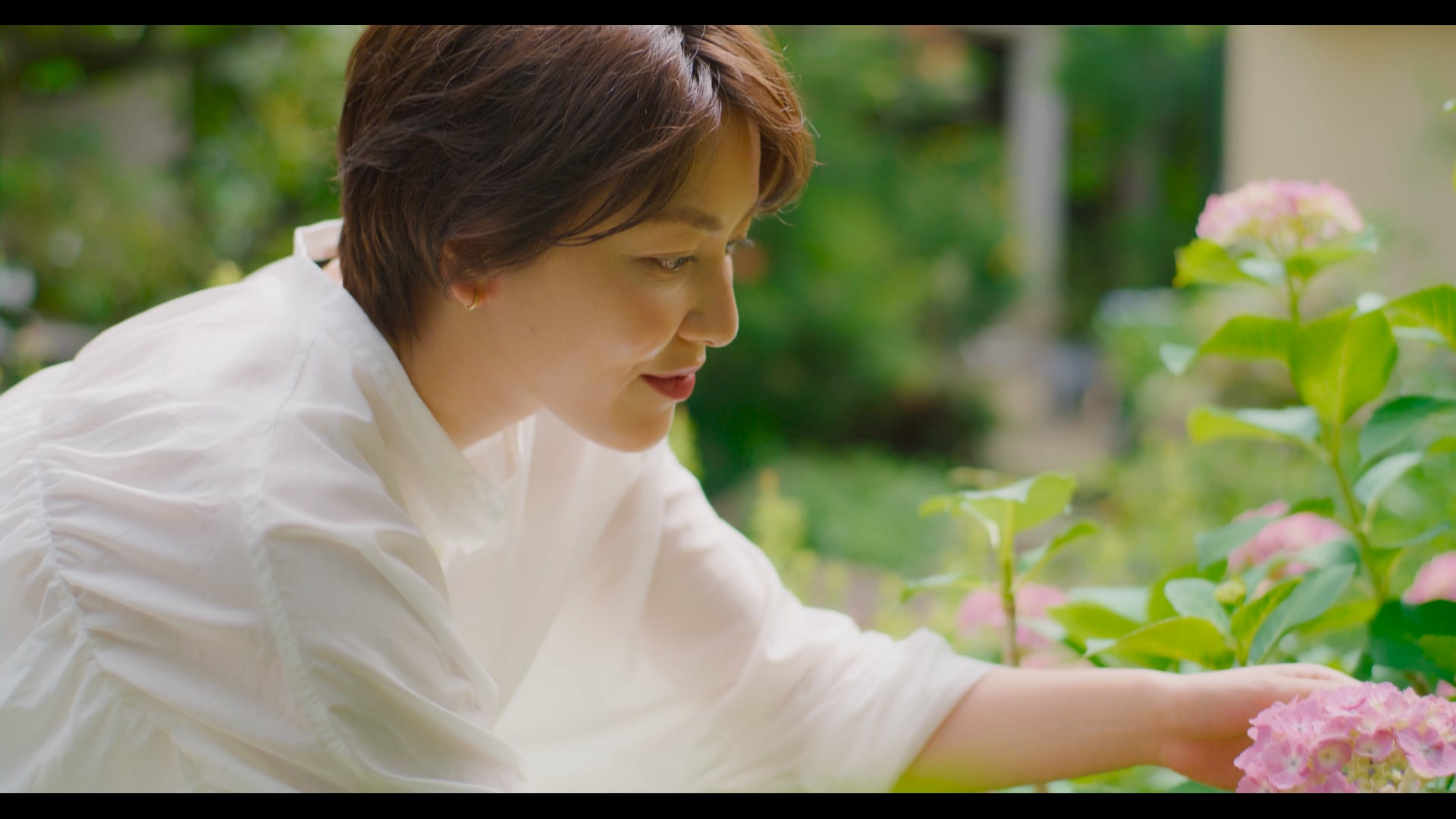 Cuzen Matcha CM