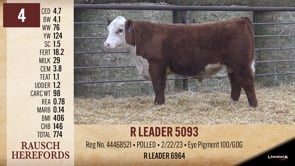 Lot #4 - R LEADER 5093