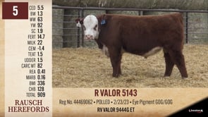 Lot #5 - R VALOR 5143