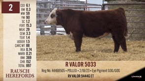 Lot #2 - R VALOR 5033