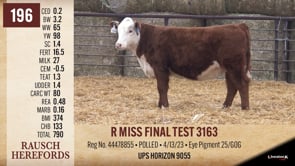 Lot #196 - R MISS FINAL TEST 3163