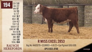 Lot #194 - R MISS EXCEL 2853