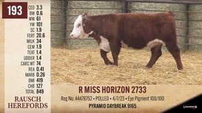Lot #193 - R MISS HORIZON 2733
