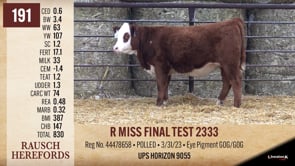 Lot #191 - R MISS FINAL TEST 2333