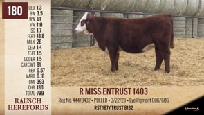 Lot #180 - R MISS ENTRUST 1403