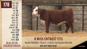 Lot #178 - R MISS ENTRUST 1173