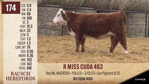 Lot #174 - R MISS CUDA 463