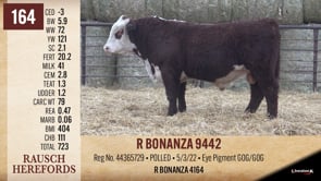 Lot #164 - R BONANZA 9442
