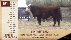 Lot #161 - R ENTRUST 9232