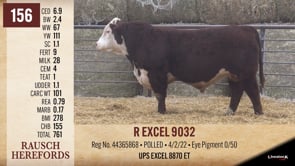 Lot #156 - R EXCEL 9032