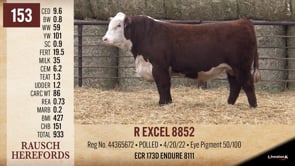 Lot #153 - R EXCEL 8852