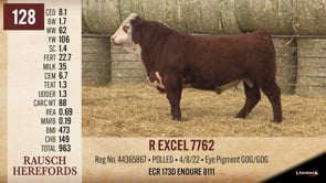 Lot #128 - R EXCEL 7762