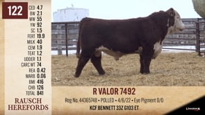 Lot #122 - R VALOR 7492