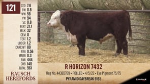 Lot #121 - R HORIZON 7432