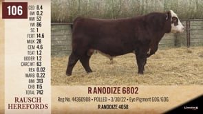 Lot #106 - R ANODIZE 6802