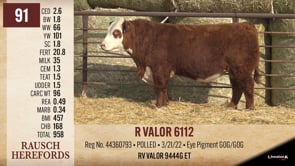 Lot #91 - R VALOR 6112