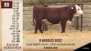 Lot #89 - R ANODIZE 6002