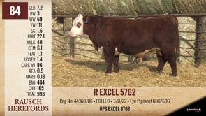 Lot #84 - R EXCEEL 5762