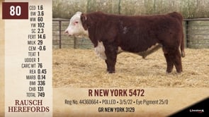 Lot #80 - R NEW YORK 5472