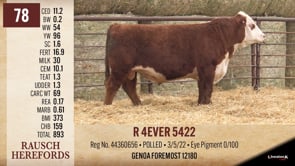 Lot #78 - R 4EVER 5422