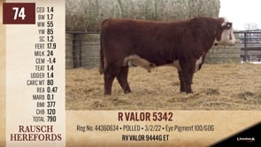 Lot #74 - R VALOR 5342