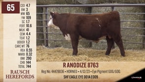 Lot #65 - R ANODIZE 8763