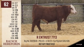 Lot #62 - R ENTRUST 7713