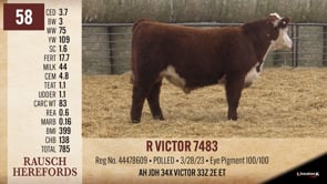 Lot #58 - R VICTOR 7483