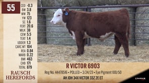 Lot #55 - R VICTOR 6903