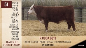 Lot #51 - R CUDA 6813