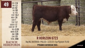 Lot #49 - R HORIZON 6723