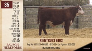 Lot #35 - R ENTRUST 6103