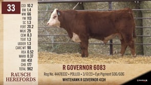 Lot #33 - R GOVERNOR 6083