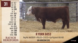 Lot #31 - R YORK 6053