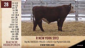 Lot #28 - R NEW YORK 5913
