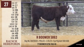 Lot #27 - R BOOMER 5863
